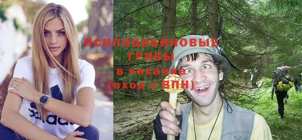 экстази Дмитровск