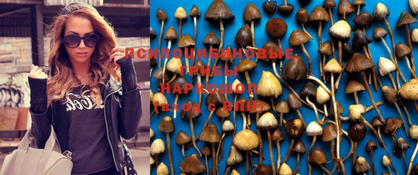 бутик Дмитров