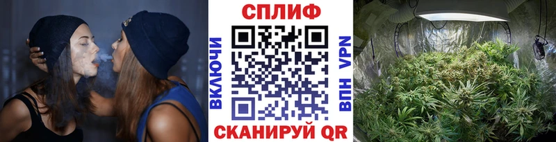 где найти наркотики  Невель  Каннабис тримм 